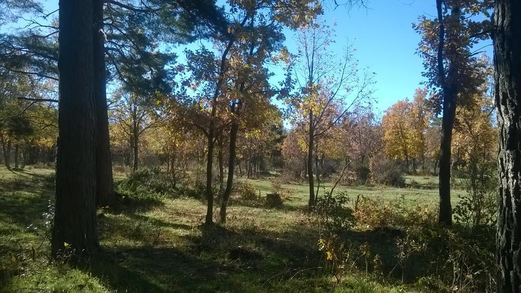 הוסטל Arcones El Refugio Del Dragon מראה חיצוני תמונה