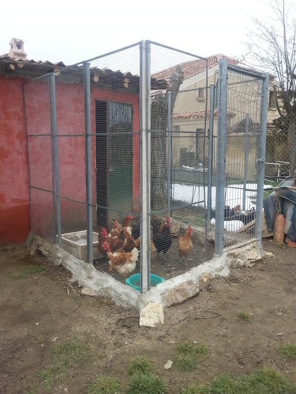 הוסטל Arcones El Refugio Del Dragon מראה חיצוני תמונה