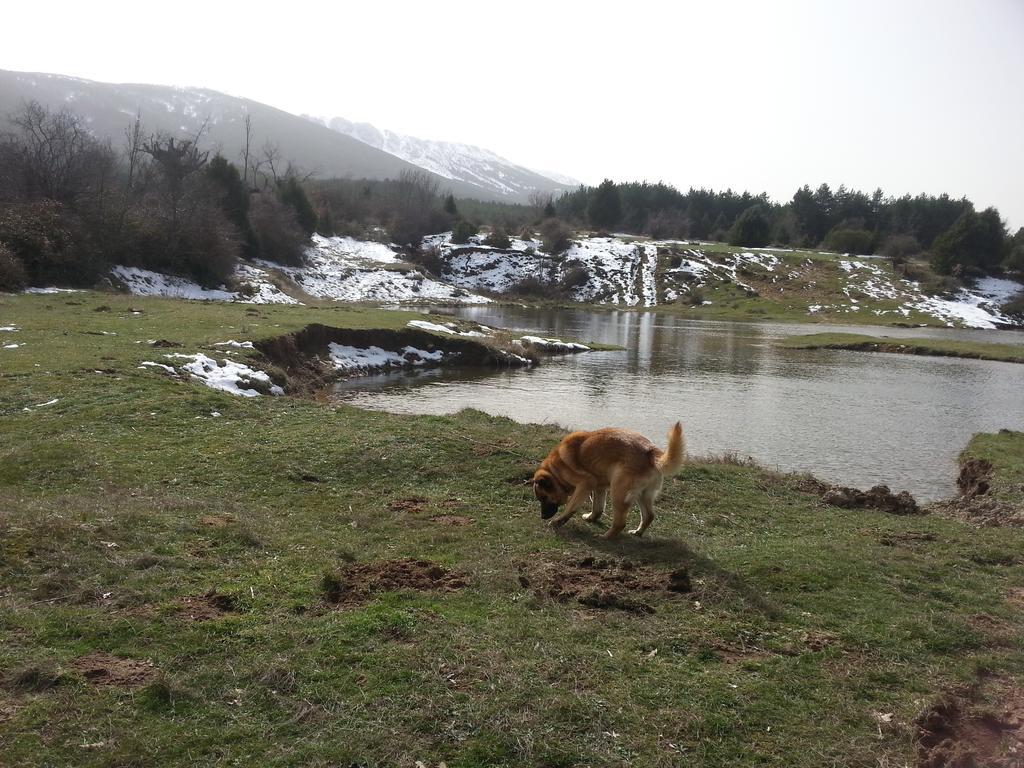 הוסטל Arcones El Refugio Del Dragon מראה חיצוני תמונה